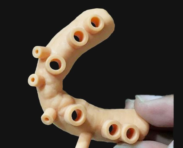 SLA.3