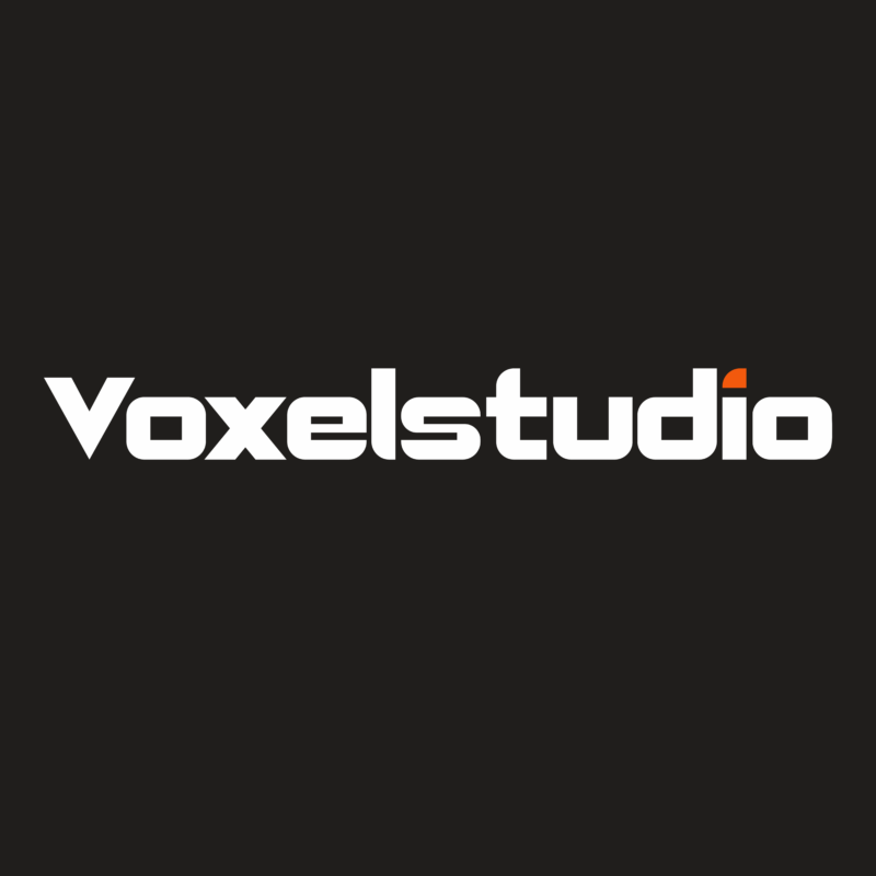 Voxelstudio.co.in